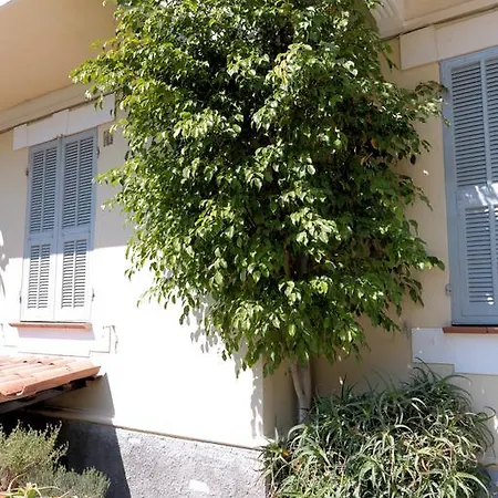 阿米莉亚别墅酒店 阿拉西奥